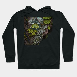 Closeup of Lichen on a Log Hoodie